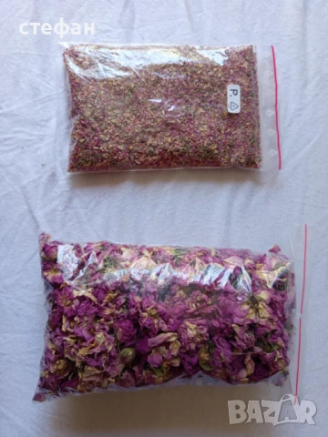 Продавам Сладък пелин-сух и разсад -лечение на простата,сух розов цвят, снимка 7 - Градински цветя и растения - 34710981