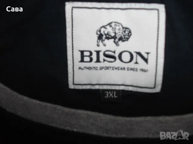 Тениски ROCKY, BISON  мъжки,2-3-4ХЛ, снимка 5 - Тениски - 55848991