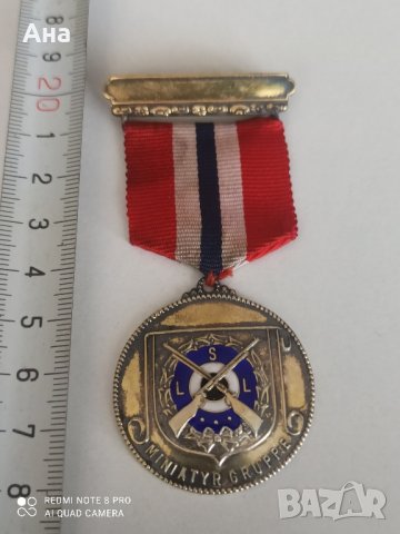 норвежки сребърен медал с емайл 