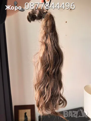 Изкупуване на Коса Най-високи цени 