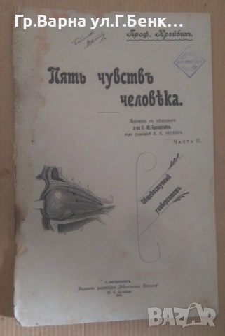 Пять чувствь человека  Проф. Крейбих 10лв
