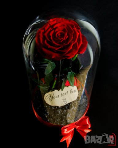 Подарък за Годишнина / Естествена Вечна Роза в Голяма Стъкленица / Оригинален Подарък за Жена, снимка 9 - Други - 34470749