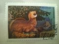 Стари марки с животни, снимка 7