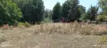 Продавам парцел на Пампорово - Поповото. 🌲 , снимка 1