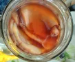 Кафе комбуча гъба SCOBY - 3-4 гъби, снимка 2