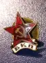 Рядка значка на винт с емайл 1970 година, снимка 1