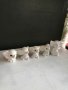 комплект порцеланови слончета, снимка 2