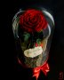Подарък за Годишнина от Сватба / Естествена Вечна Роза в ГОЛЯМА Стъкленица/ Подарък за Любимата Жена