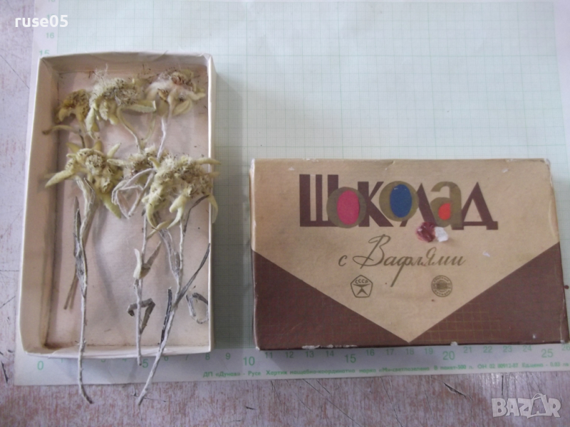 Еделвайс - 6 бр. хербаризаран комлект, снимка 1