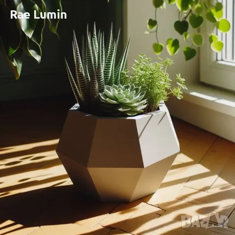 Модерна осмоъгълна кашпа, снимка 1