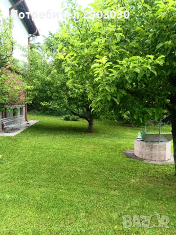 Почистване на Дворове Вили Парцели, снимка 9 - Други услуги - 49250096