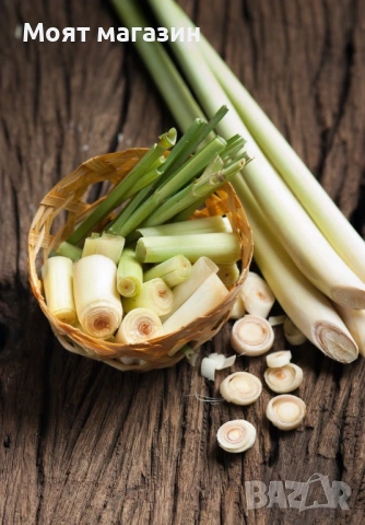 Лимонена трева за чай, настинка и т.н., снимка 6 - Градински цветя и растения - 53650574