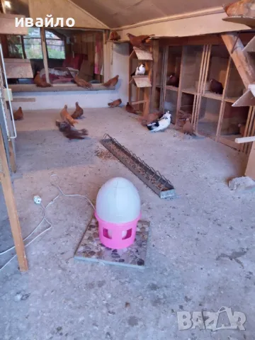 нагревател за поилки за птици, снимка 9 - Гълъби - 48260453