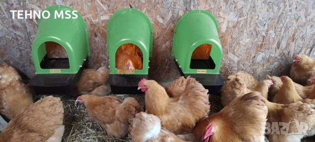 ПРОМО Гнездо за кокошки, Полог с колектор, яйца V2, 5 броя + Безплатна доставка, снимка 1 - За птици - 41537600
