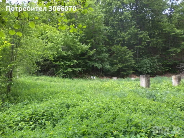 Продавам имот до река, снимка 6 - Къщи - 50265257