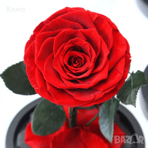 Мини роза в стъкленица, снимка 3 - Подаръци за жени - 44197834
