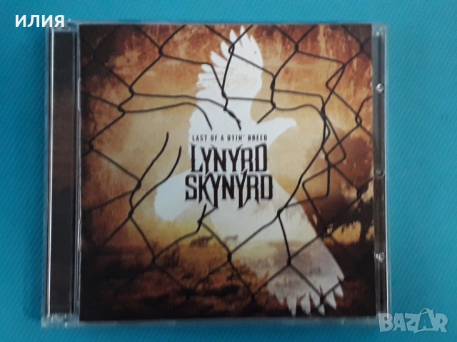 Yngwie Malmsteen,Queen,Manfred Mann,Foreigner,Beatles,Lynyrd Skynyrd-CD, снимка 16 - CD дискове - 50942912