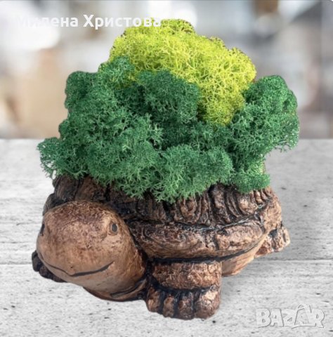 Кашпи "Костенурки" със скандинавски мъх , снимка 2 - Картини - 42322022