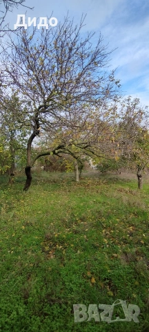 Продава парцел, гр Белослав, област Варна, снимка 4 - Парцели - 53803710