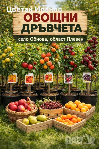 Продавам овощни облагородени дръвчета различни видове