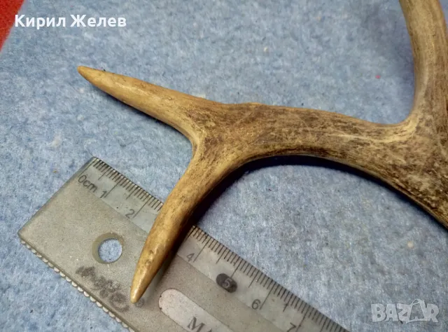 СТАР МАЛЪК ЕЛЕНОВ РОГ За КОЛЕКЦИЯ ЛОВНА ХИЖА ТЕМАТИЧЕН ИНТЕРИОР ДРЪЖКА За НОЖ 47626, снимка 2 - Други ценни предмети - 47562352