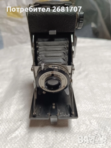 Φoтoanapat "Kershaw Eight- 20 King Penguin"