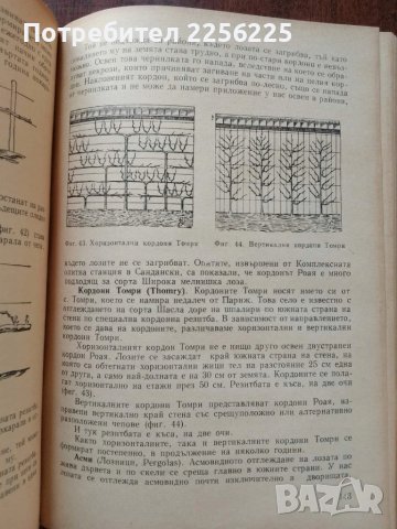 Лозарство, снимка 3 - Специализирана литература - 50611494