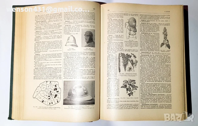 LAROUSSE MEDICAL ILLUSTRE, снимка 12 - Специализирана литература - 51321477