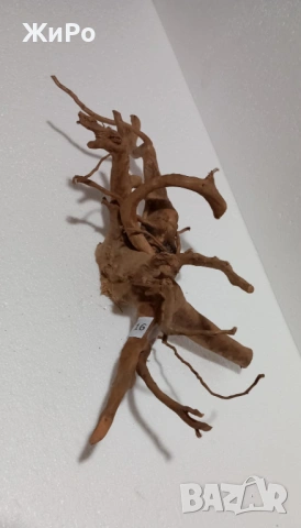 Корен от Азалия /декорация/ 16, снимка 3 - Други - 53401565