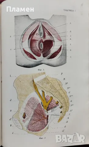Основи на акушерството Димитъръ Стаматовъ /1941/, снимка 4 - Антикварни и старинни предмети - 48811855