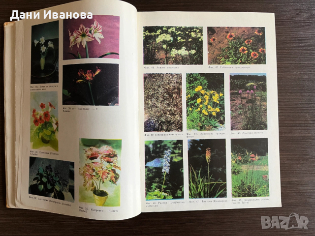 КНИГА ЗА ВСЕКИ ДЕН И ВСЕКИ ДОМ, снимка 7 - Енциклопедии, справочници - 53209793