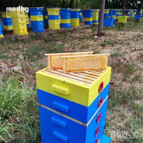 Пчелна рамка с мед / ЛУКС / Див градеж / 100% НАТУРАЛНО, снимка 4 - Пчелни продукти - 41929437