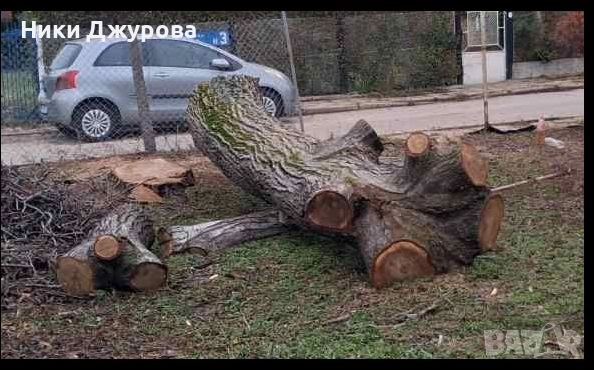 Орехов материал, снимка 2 - Дърводелски услуги - 52714678