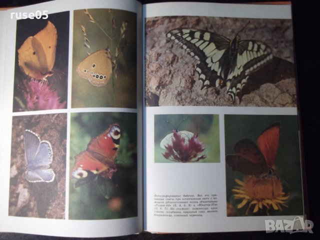 Книга "Путишествие в удивительный мир-Ю.Аракчеев" - 144 стр., снимка 5 - Енциклопедии, справочници - 35778534