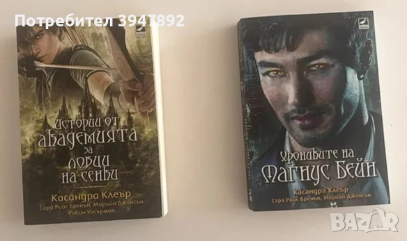 Хрониките на Магнус Бейн/ Истории от академията на ловците на сенки