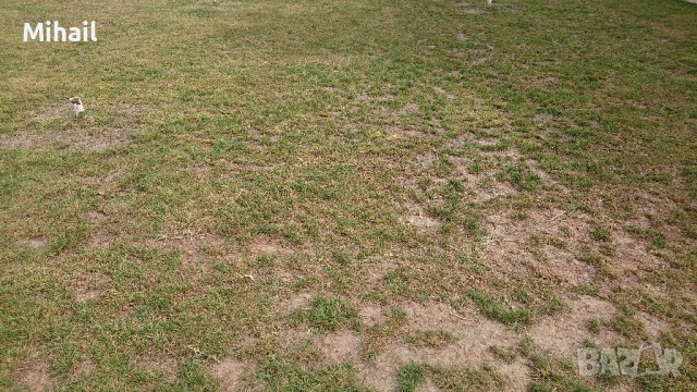 Възтановяване/поправка/сгъстяване на тревната покривка.Затревяване/засаждане с професионална машина, снимка 3 - Други - 42643416