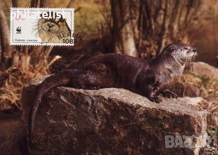 Германска демократична република 1987 - 4 бр. Карти Максимум, снимка 4 - Филателия - 38890538