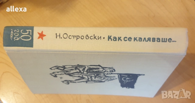 " Как се каляваше стоманата ", снимка 8 - Художествена литература - 43366269