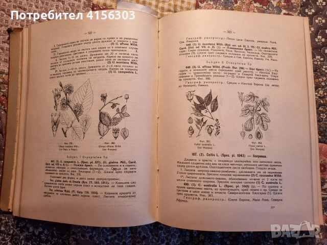 Флора на България., снимка 6 - Други - 53635906