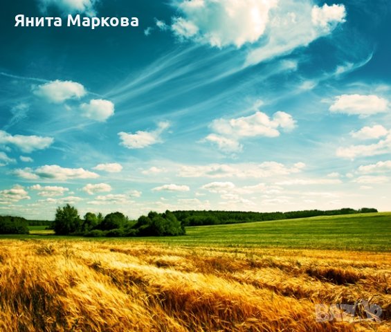 Купувам ЗЕМЕДЕЛСКА ЗЕМЯ всички землища Община Айтос	