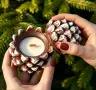 Молд буркан кашпа шишарка, снимка 6