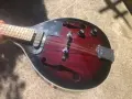 стара електроакустична мандолина "Stagg" Mod: M50E, снимка 7