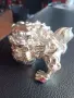 китайски Лъв или куче винтидж, снимка 4