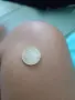 Рядка колекционерска монета, снимка 2