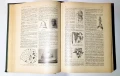 LAROUSSE MEDICAL ILLUSTRE, снимка 12