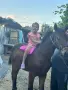 Мъжко конче    ., снимка 3