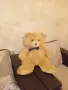 ПЛЮШЕНА ИГРАЧКА МЕЧКА , снимка 4