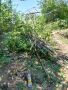 Почистване на дворни места от храсталаци върши на дървени и клонки и опасни дървета, снимка 3