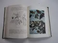 Книга Етерично маслени и медицински култури Стайков , снимка 6