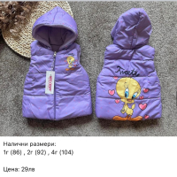НОВИ Бебешки и детски шушлякови елеци с подплата, снимка 14 - Детски якета и елеци - 44679157